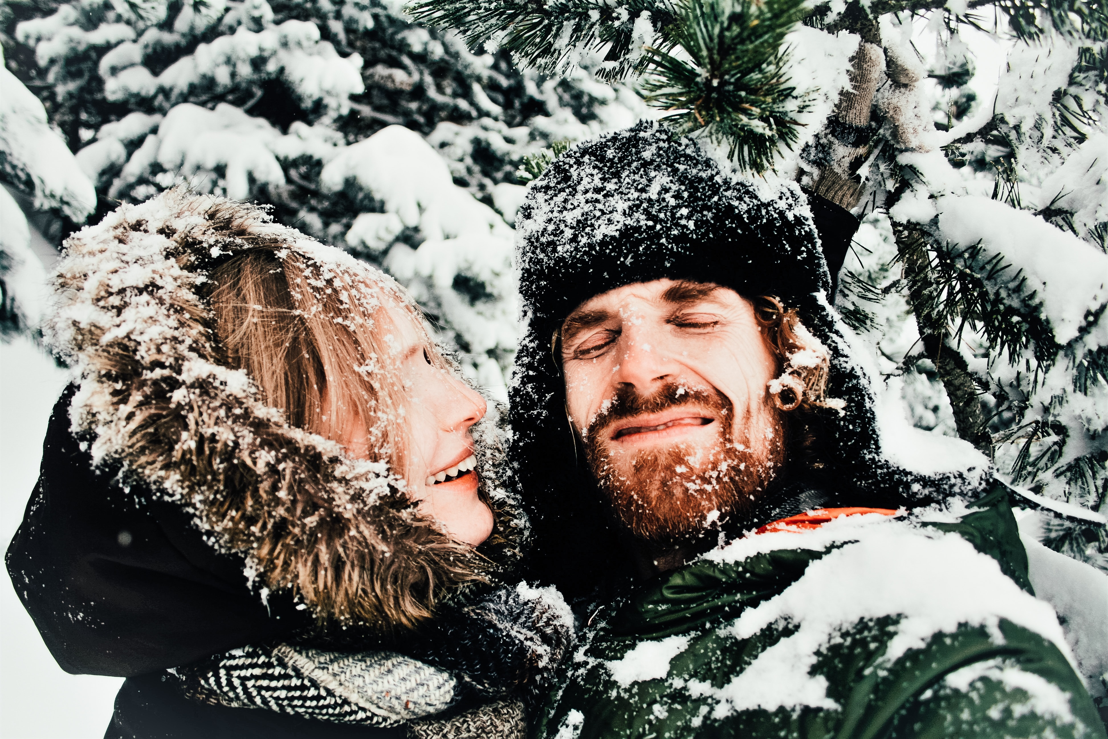 Pärchen im Schnee