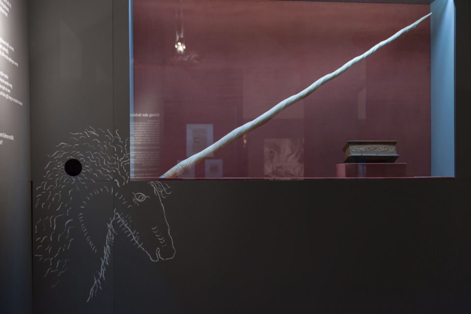 Ausstellungsansicht "Wundertiere", Schloss Eggenbergm 2016,